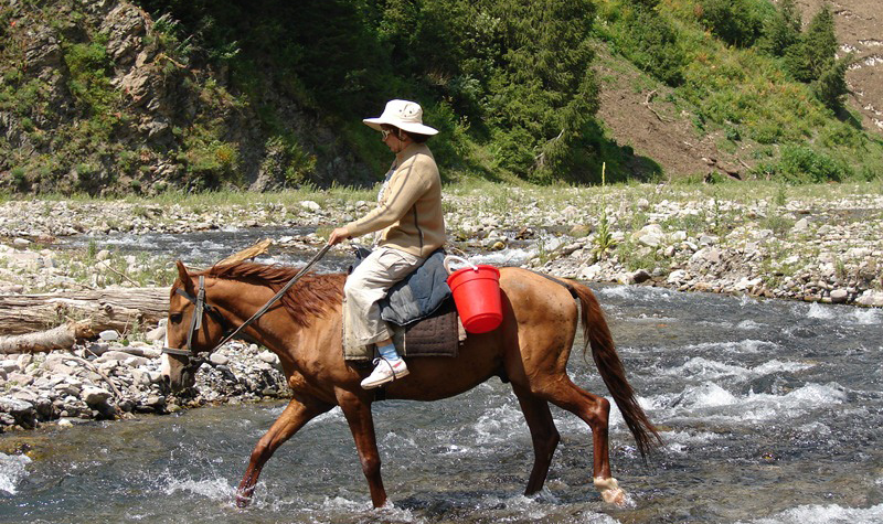 Конный тур по реке Чаткал Туры в Узбекистан катание на лошадях в горах купание в реке и отдых в тенистой роще возле родника